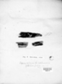 Sphaeria incrustans image